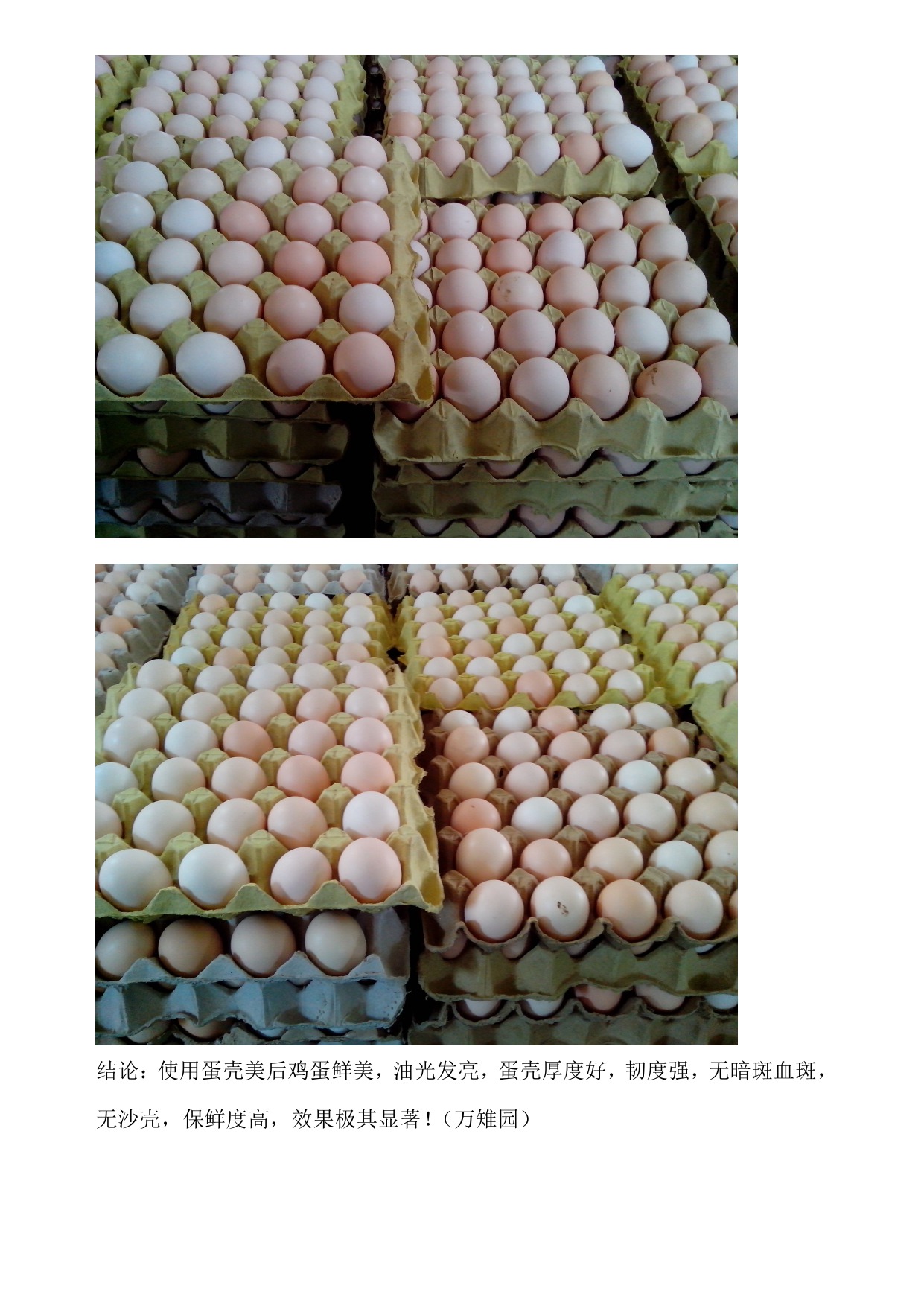 尊龙凯时人生就是搏--首页官网