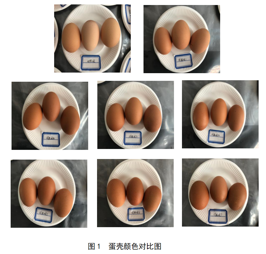 尊龙凯时人生就是搏--首页官网