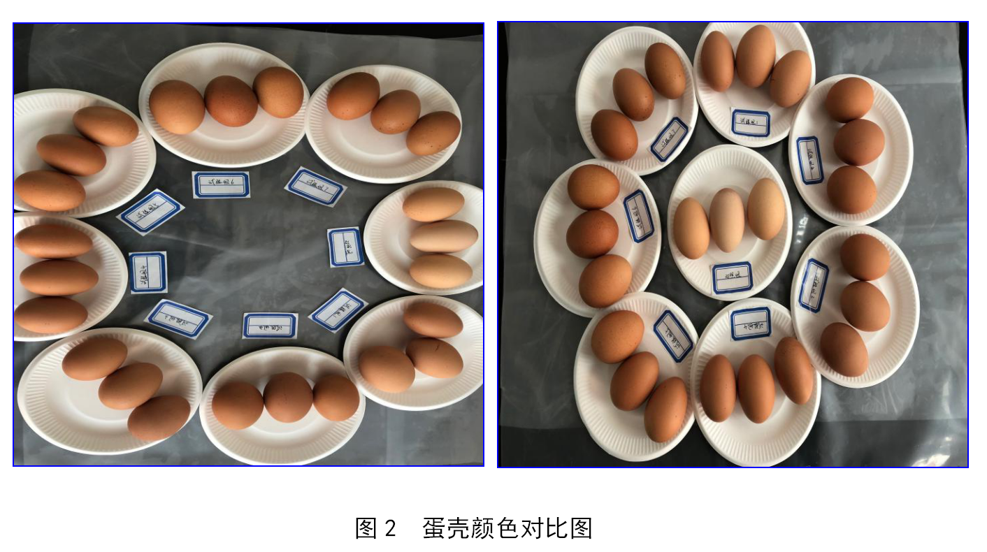 尊龙凯时人生就是搏--首页官网