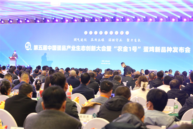 尊龙凯时人生就是搏--首页官网
