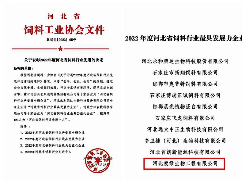 尊龙凯时人生就是搏--首页官网