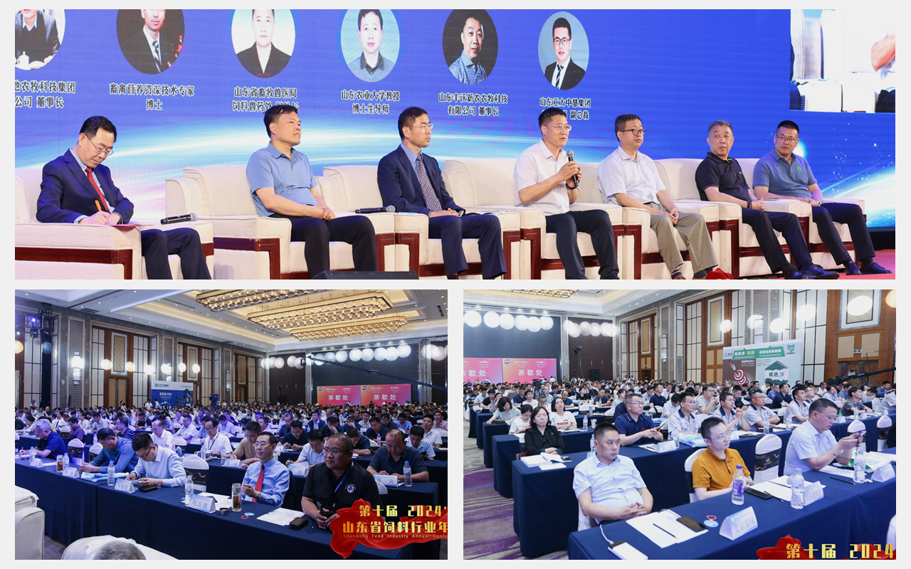 尊龙凯时人生就是搏--首页官网